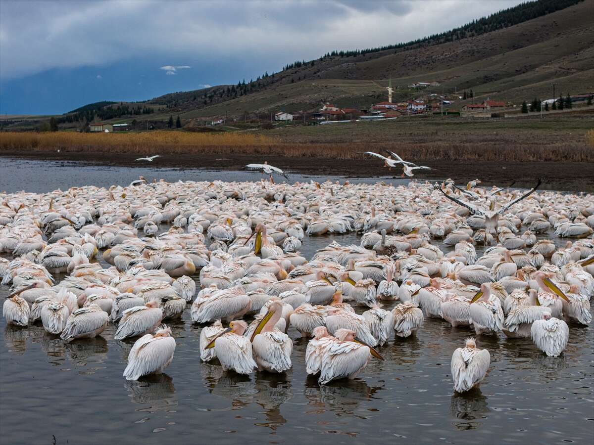 Konya’nın ünlü gölünde kuraklık sonrası sevindiren dönüş 9